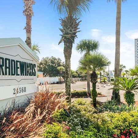 오렌지 비치 Tradewinds 1106 빌라 외부 사진